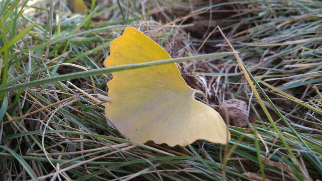 499元会玩出什么新花样？红米4A评测