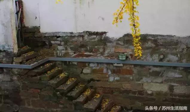 苏州平江路网红打卡地,苏州十大名街