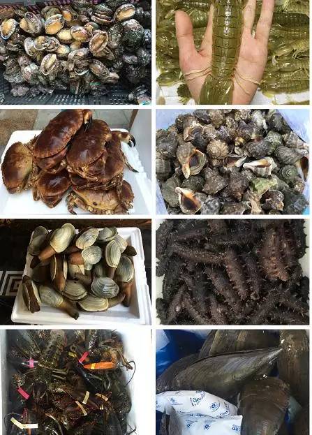 鲍鱼大虾海鲜火锅,一虾一蟹49元海鲜自助火锅