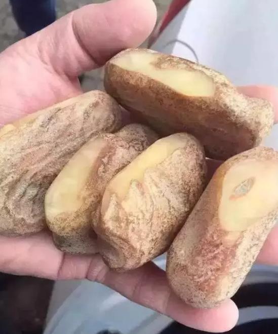 塑料制假蜜蜡,文玩假蜜蜡