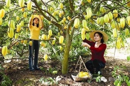 带你吃遍云霄美食,舌尖上的云霄