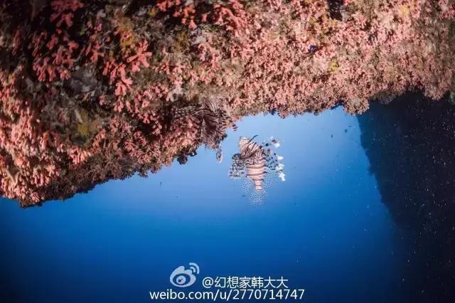 帕劳旅游吃住攻略,超强整理去帕劳不得不看的攻略