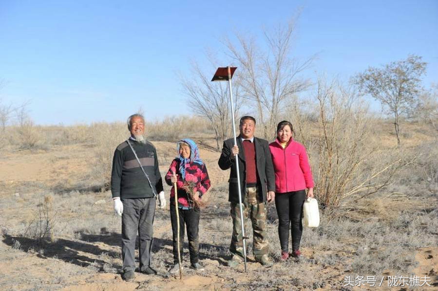 父子绿化沙漠,坚守独腿夫妻沙漠种出30万棵树