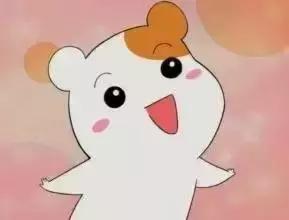 这个香港导演，有才、有料、真性情！