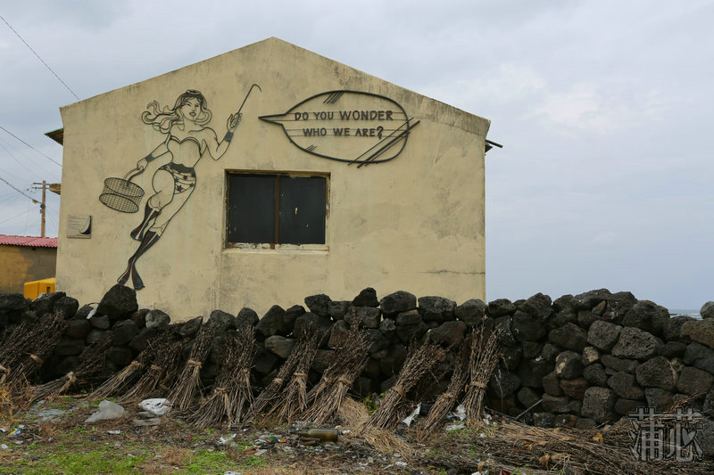 济州岛看枫叶,济州岛枫叶