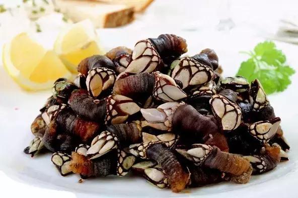 又双叒叕吃人家生殖腺！老不要脸了