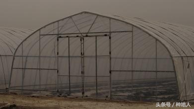 一亩地钢架蔬菜大棚造价要多少钱,建一个一亩的钢架大棚多少钱