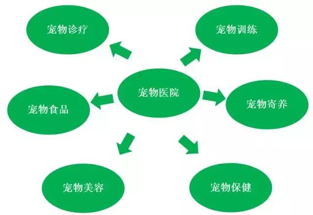 中国宠物医疗的痛点分析,宠物医疗与医美行业哪个更好