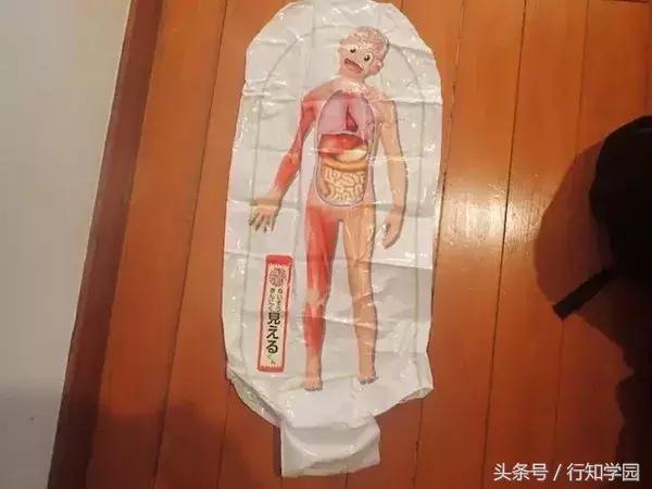 小学生杂志的附录太厉害了，一个手滑买了12本