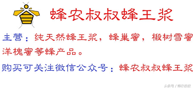 无法造假的东西,蜂巢蜜能造假的吗