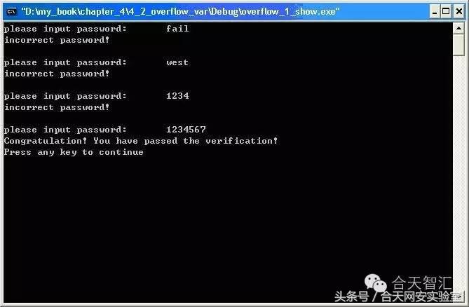 软件漏洞诊断,软件漏洞挖掘与分析