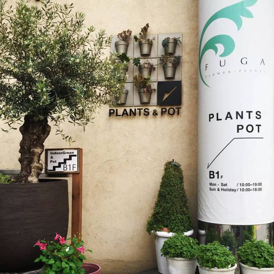 东京花店,东京南青山花店