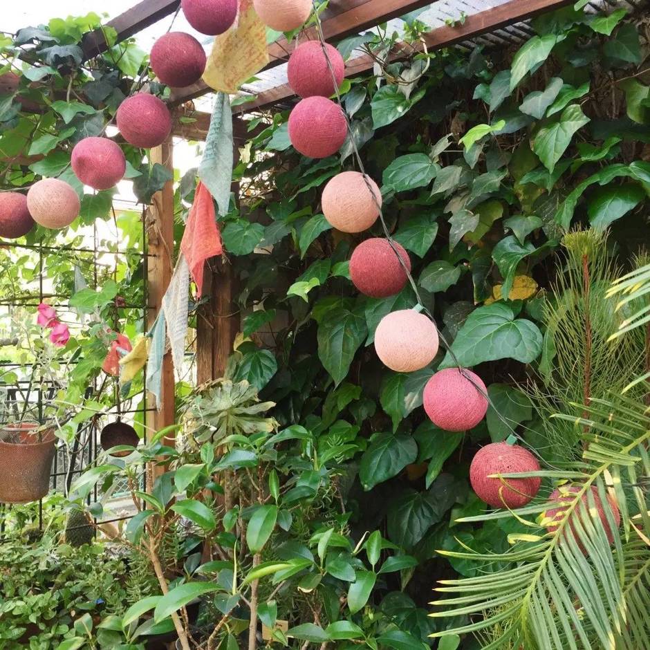 东京花店,东京南青山花店