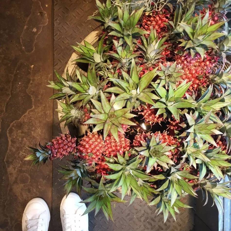 东京花店,东京南青山花店