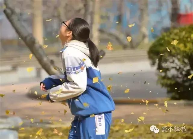 美呆了！被银杏包围的北京育英学校，在这里学习都是一种享受