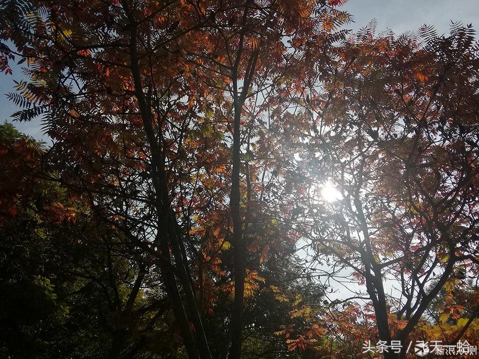 华为m3平板屏幕比例,华为青春m3平板价格