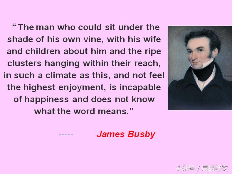 澳洲私人酒庄哪个好,想买个德国的酒庄怎么买