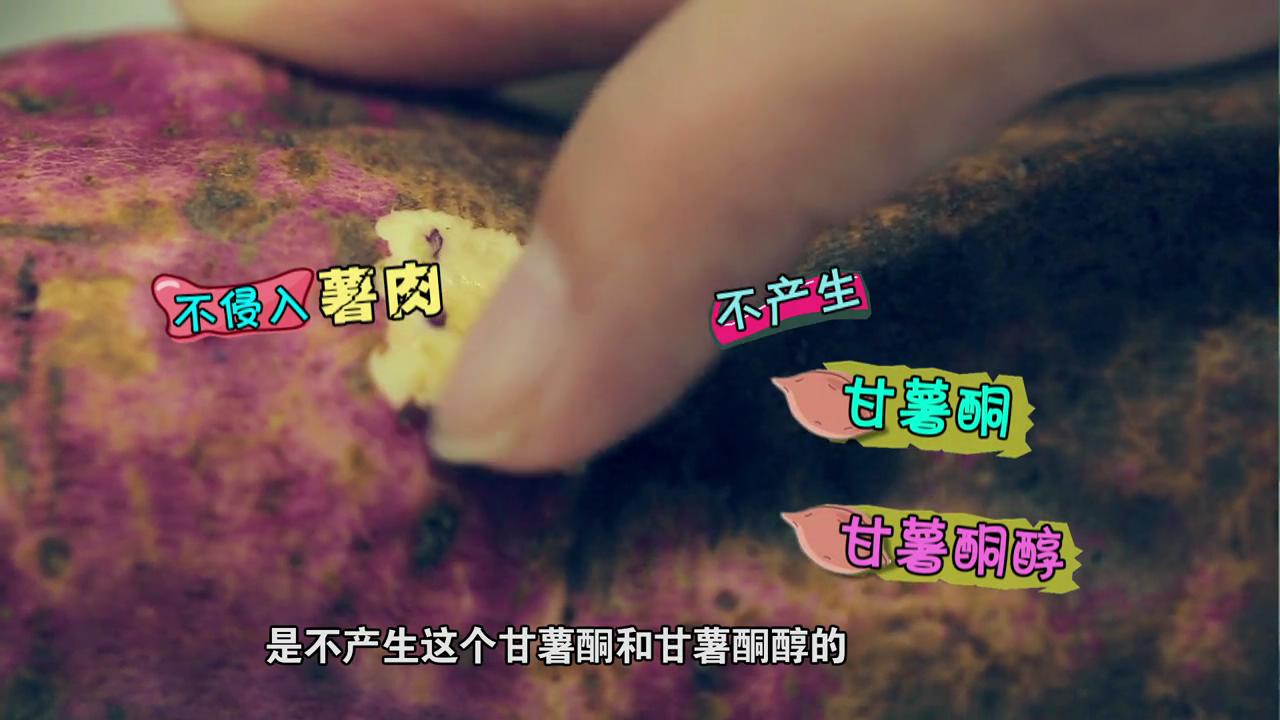 红薯表皮和薯肉有黑斑如何处理,误食黑斑红薯中毒解毒小妙招