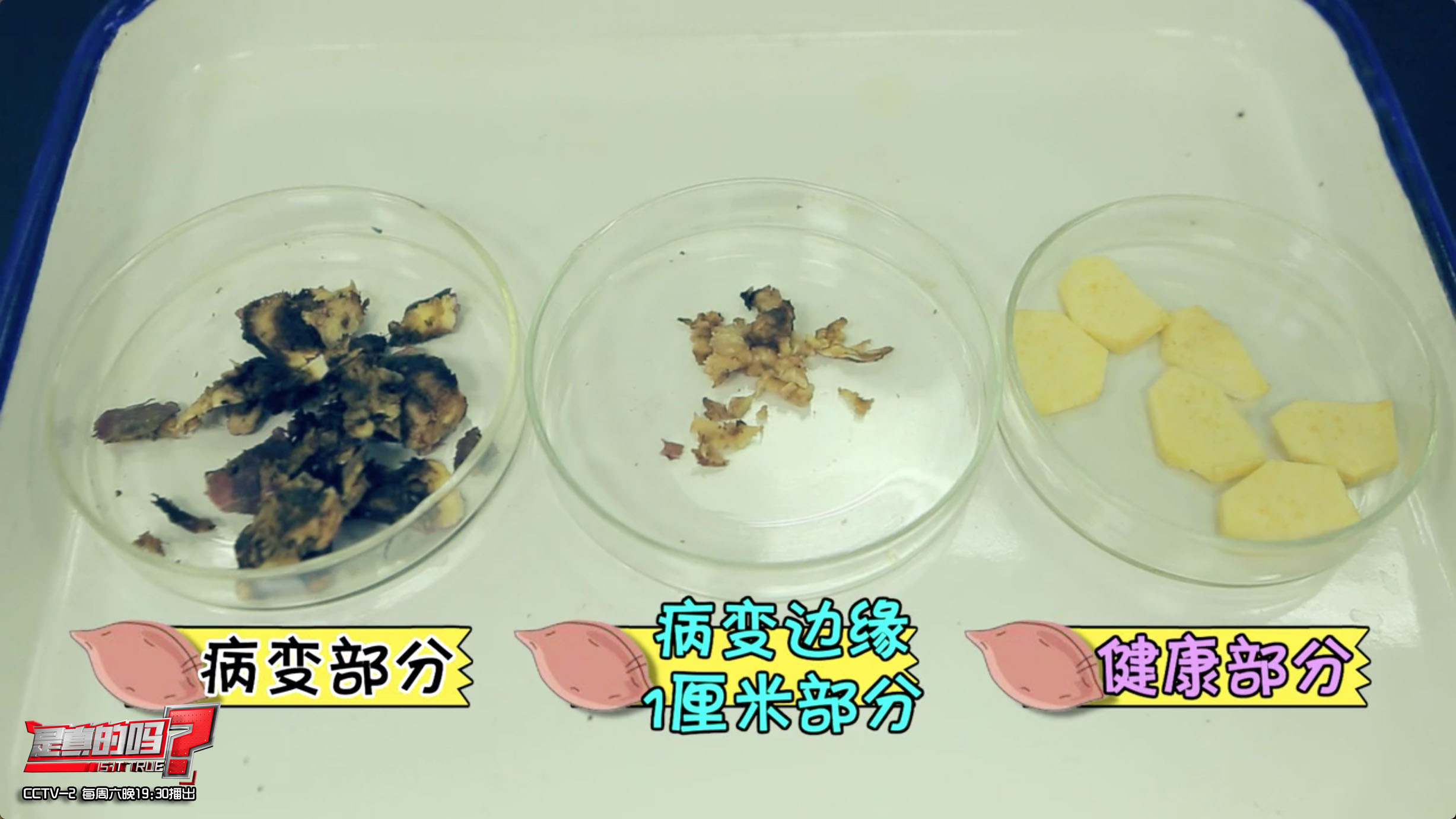 红薯表皮和薯肉有黑斑如何处理,误食黑斑红薯中毒解毒小妙招