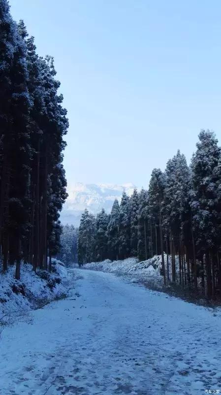 成都冷空气十足,四川成都冷空气来袭