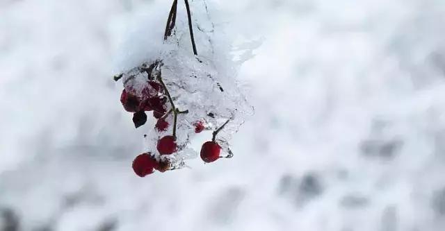 成都冷空气十足,四川成都冷空气来袭