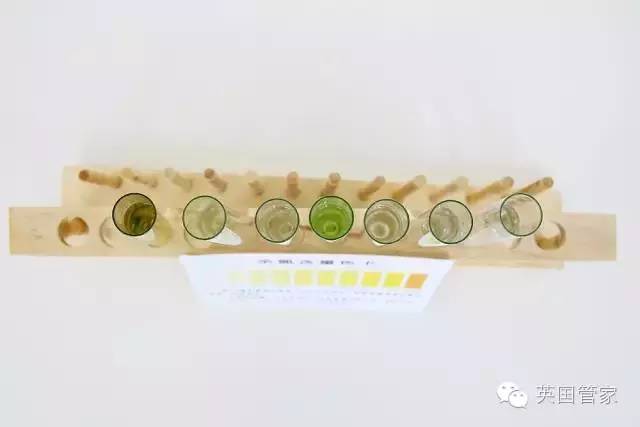 净水壶十大名牌是哪些,目前比较好的净水壶是哪一款