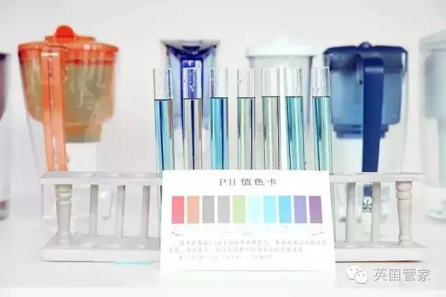 净水壶十大名牌是哪些,目前比较好的净水壶是哪一款