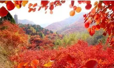 最近假期去哪里好点,假期去哪玩更合适