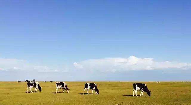 最近假期去哪里好点,假期去哪玩更合适