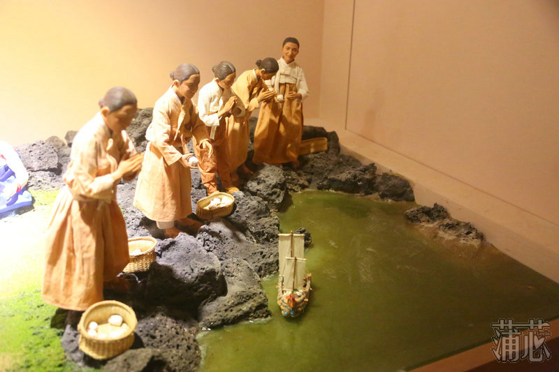 济州岛看枫叶,济州岛枫叶