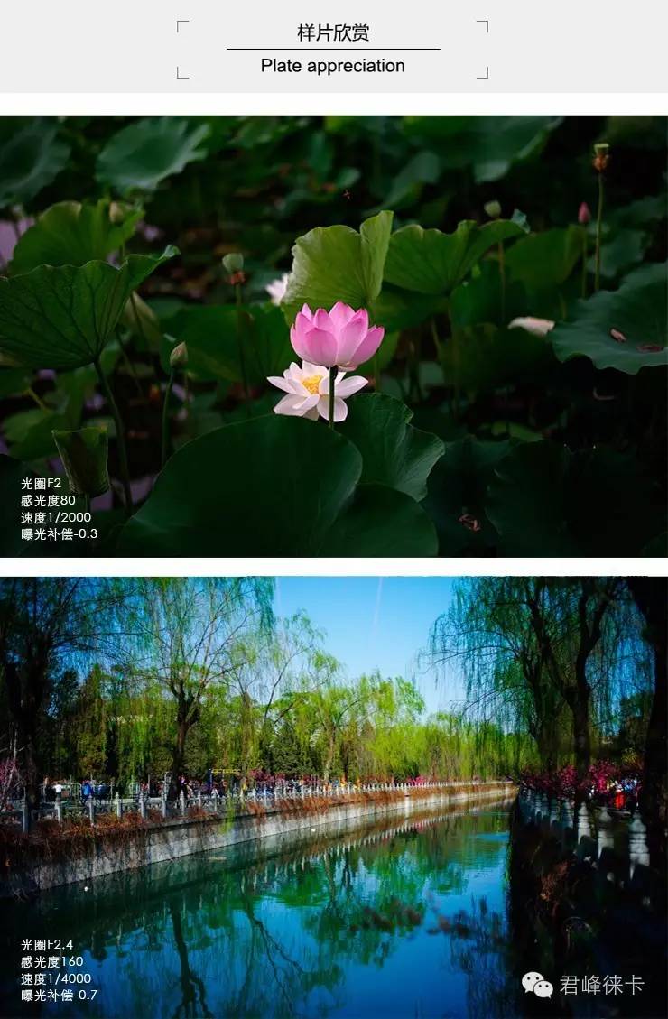 徕卡最好的副厂老镜头,徕卡复刻版镜头