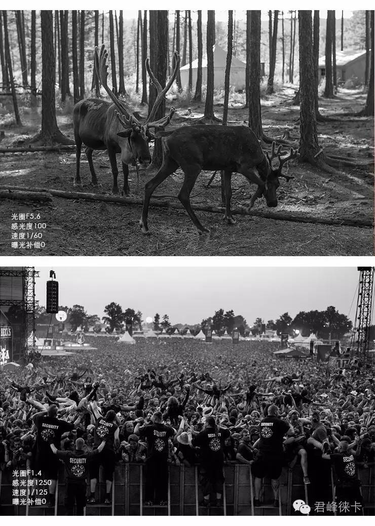 徕卡最好的副厂老镜头,徕卡复刻版镜头