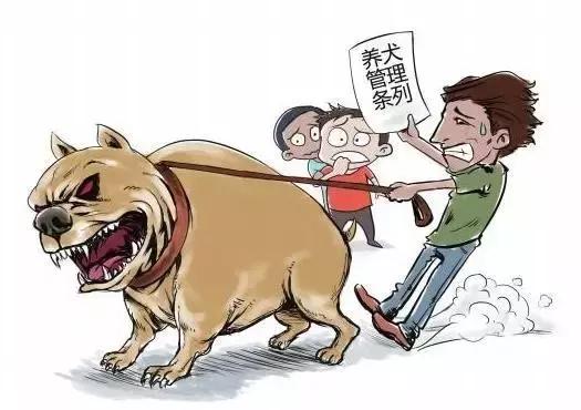 中国宠物医疗的痛点分析,宠物医疗与医美行业哪个更好