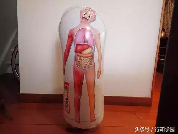 小学生杂志的附录太厉害了，一个手滑买了12本