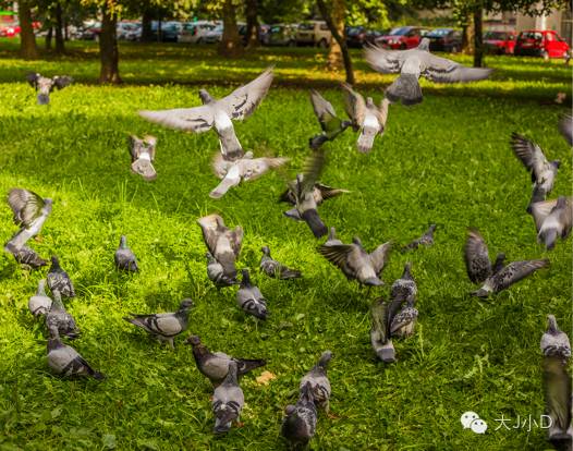 这位妈妈,这位妈妈写的回忆录