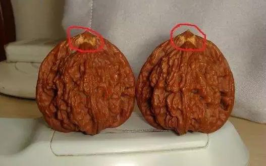 文玩核桃底部有虫眼怎么办,文玩核桃有虫眼什么样