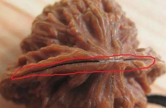 文玩核桃底部有虫眼怎么办,文玩核桃有虫眼什么样