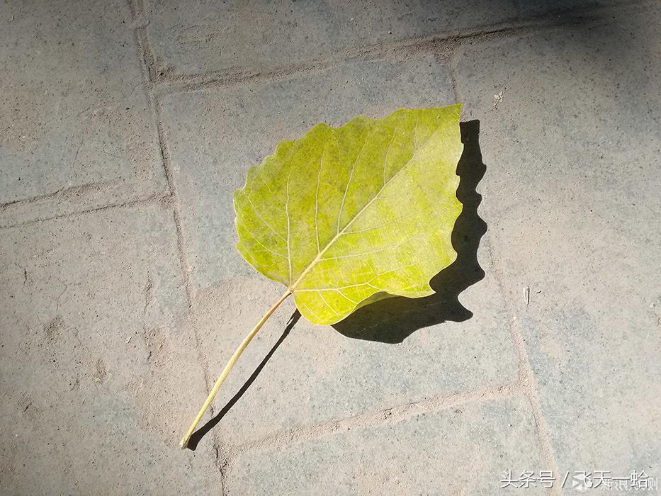 华为m3平板屏幕比例,华为青春m3平板价格