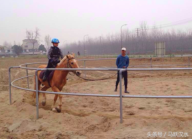 襄阳最小野骑手怎样练成（二）——上马术课
