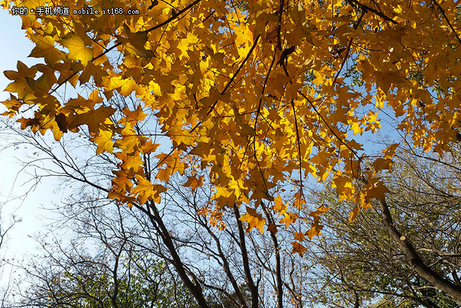 三星c9pro,三星c9pro上市时间