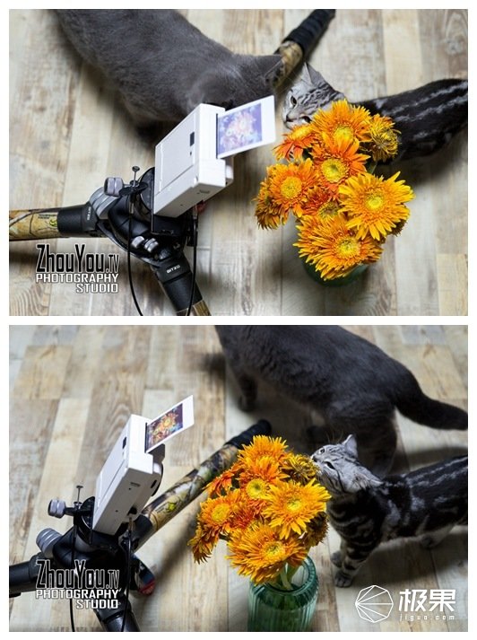 高级摄影师拍摄技巧实例,怎么用手机拍出拍立得的高级照片