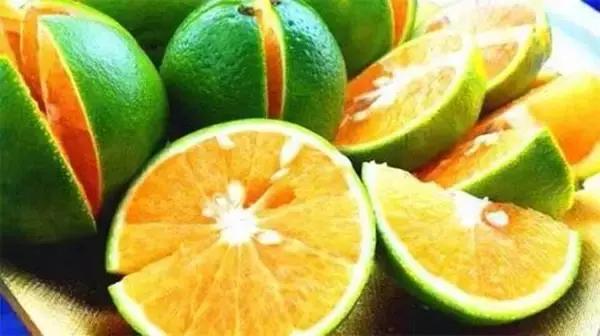 缁挎鏃呰,骞垮窞缁挎鏃呮父