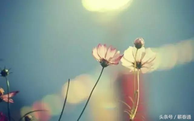 小儿子嫌父亲穷困无知当面辱骂,反被哥哥打脸,干得漂亮!