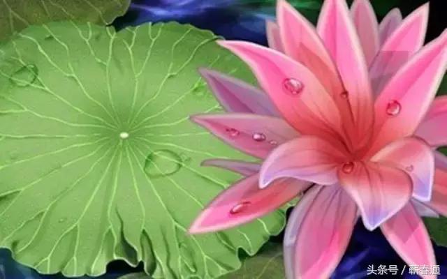 小儿子嫌父亲穷困无知当面辱骂,反被哥哥打脸,干得漂亮!