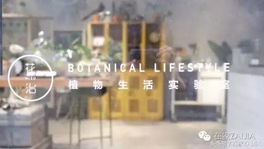 开家花店荒度余生赚得不多,开家花店度过余生