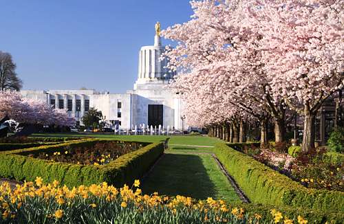 美国免税州有哪些城市,美国免税州邮编