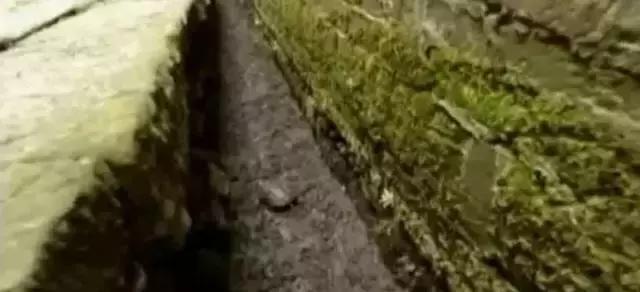 这个村庄一千年前建了个生态下水道，全村至今不淹水，生物还活着