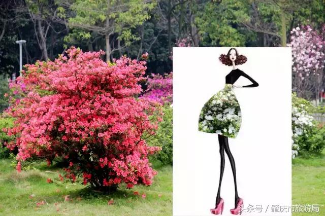 西大下了一场雨，美翻了整个肇庆！