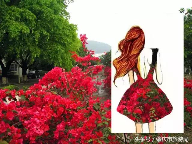 西大下了一场雨，美翻了整个肇庆！