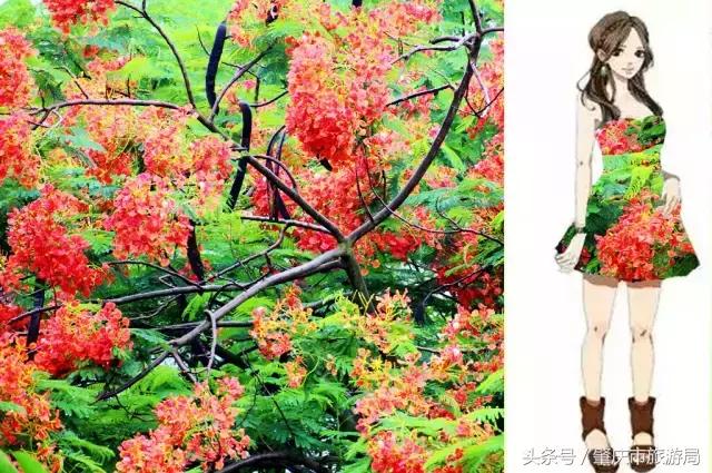 西大下了一场雨，美翻了整个肇庆！